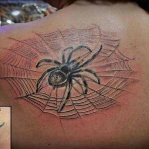 Cover up Spinne im Netz