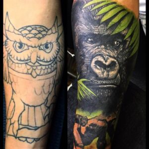 Cover Up Eule Gorilla