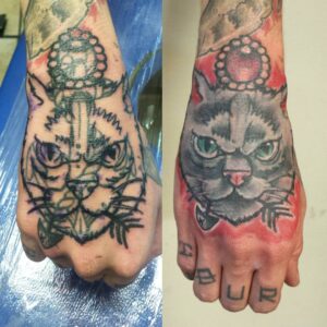 Katzen Cover Up