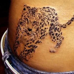 Leopard